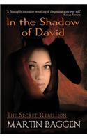 In The Shadow Of David