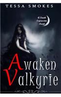 Awaken Valkyrie (Touch Expression Book one)