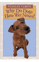 Why Do Dogs Have Wet Noses?