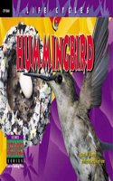 Hummingbird