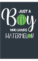 Just A Boy Who Loves Watermelon