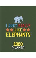 I Just Really Like Elephants 2020 Planner: Weekly Monthly 2020 Planner For People Who Loves Elephants 8.5x11 67 Pages