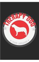 Therapy Dog Team Labrador