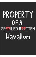 Property Of A Spoiled Rotten Havallon: Lined Journal, 120 Pages, 6 x 9, Havallon Dog Gift Idea, Black Matte Finish (Property Of A Spoiled Rotten Havallon Journal)