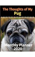 The Thoughts of My Pug