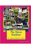 Horse Rainbow