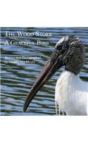 Wood Stork