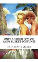 Only an Irish Boy; Or, Andy Burke's Fortunes