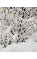 Winter School Composition Book Forest Snowstorm 130 Pages