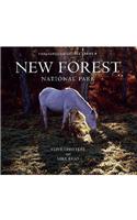 New Forest National Park