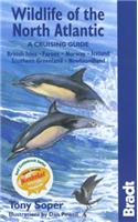 Wildlife of the North Atlantic: A Cruising Guide