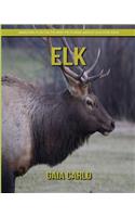 Elk