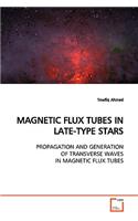 Magnetic Flux Tubes in Late-Type Stars Propagation and Generation of Transverse Waves in Magnetic Flux Tubes