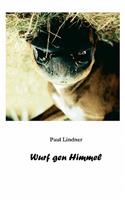 Wurf gen Himmel