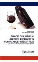 Effects of Prenatal Alcohol Exposure in Young Adult Wistar Rats