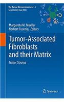 Tumor-Associated Fibroblasts and Their Matrix