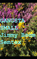 Gangsta Small