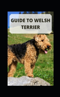 Guide to Welsh Terrier