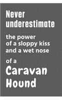 Never underestimate the power of a sloppy kiss and a wet nose of a Caravan Hound: For Caravan Hound Dog Fans