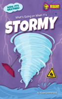What's Going on When It's Stormy: (Wow, It's Weather!)