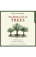 The The Hidden Life of Trees Lib/E Hidden Life of Trees Lib/E: What They Feel, How They Communicate; Discoveries from a Secret World