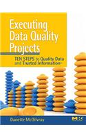 Executing Data Quality Projects