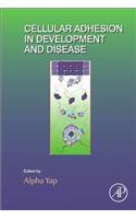 Cellular Adhesion in Development and Disease: Volume 112