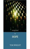 Surprised by Hope: Rethinking heaven, the resurrection and the mission of the Church