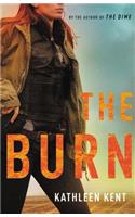 The Burn: (2 Detective Betty)