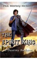 SPIRIT KING (A coming of age story of adventure, fantasy, dreams, sword and sorcery, spirituality, fantasy and adventure)
