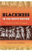 Blackness in the White Nation
