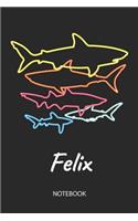 Felix - Notebook