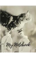 My Notebook