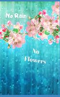 No Rain, No Flowers