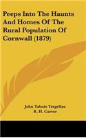 Peeps Into The Haunts And Homes Of The Rural Population Of Cornwall (1879)
