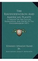 Rhododendron and American Plants