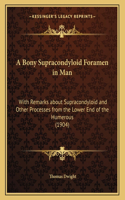 A Bony Supracondyloid Foramen in Man: With Remarks about Supracondyloid and Other Processes from the Lower End of the Humerous (1904)