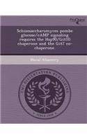 Schizosaccharomyces Pombe Glucose/Camp Signaling Requires the Hsp90/Git10 Chaperone and the Git7 Co-Chaperone
