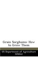 Grain Sorghums