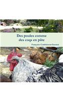 Des Poules Comme Des Coqs En Pate