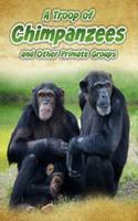 A Troop of Chimpanzees: and Other Primate Groups(Animals in Groups)