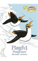 Playful Penguins!