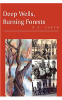 Deep Wells, Burning Forests