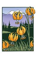 Tiger Lily (Boxed)