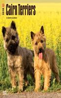 2018 Cairn Terriers Wall Calendar