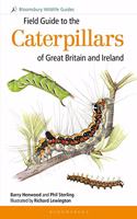 Field Guide to the Caterpillars of Great Britain and Ireland (Field Guides)