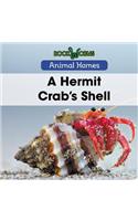 Hermit Crab's Shell