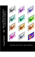 Sperm Whale Rainbow Collection Galleria