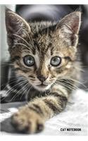 Cat Notebook: 6x 9 Lined Notebook- Cat Composition Notebook- Journal And Diary-100 Pages (Volume 41)
