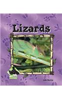 Lizards
